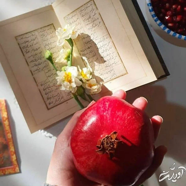 عکس پروفایل یلدا عکس شب یلدا با کیفیت بالا عکس شب یلدا خانوادگی عکس شب یلدا دونفره عکس برای شب یلدا دخترانه عکس شب یلدا 1402 عکس شب یلدا عاشقانه عکس پروفایل یلدا u;s \v,thdg dgnh